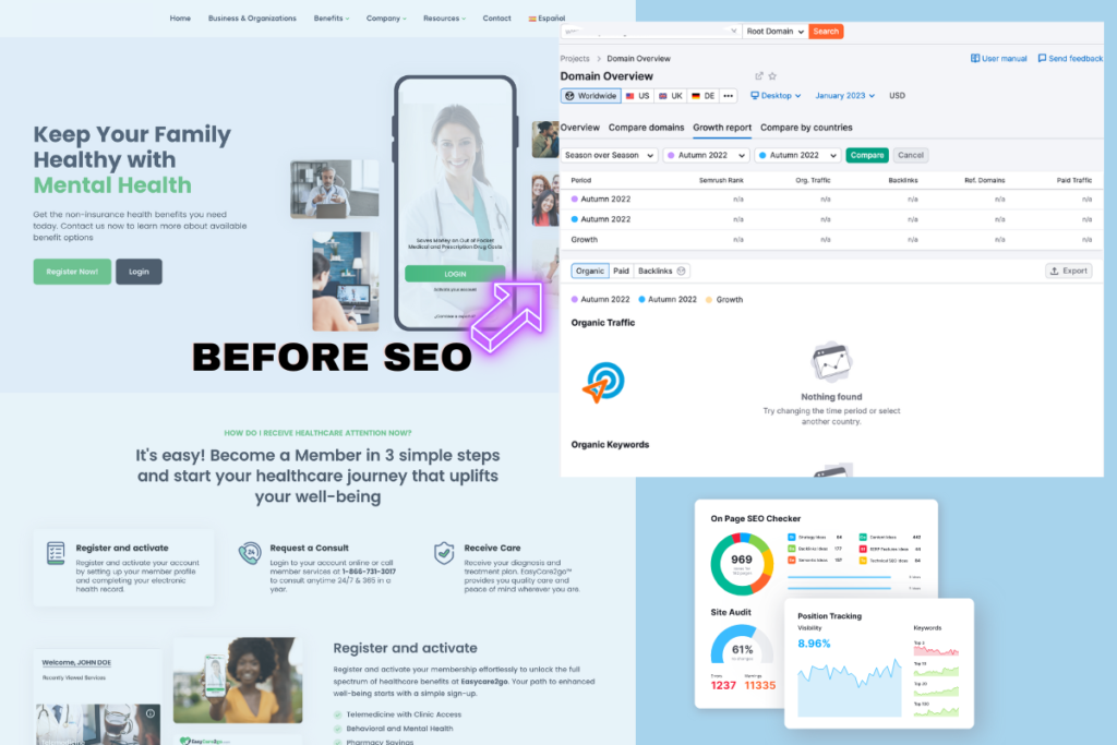 easycare2go com growth report domain before seo