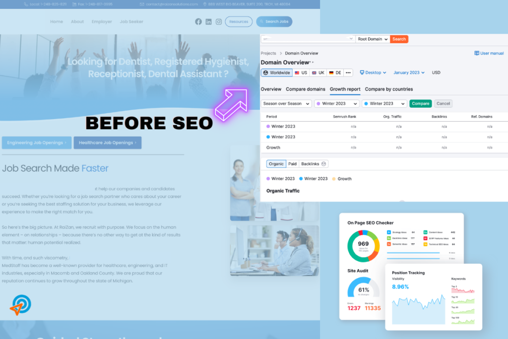 raizansolutions com growth report domain before seo